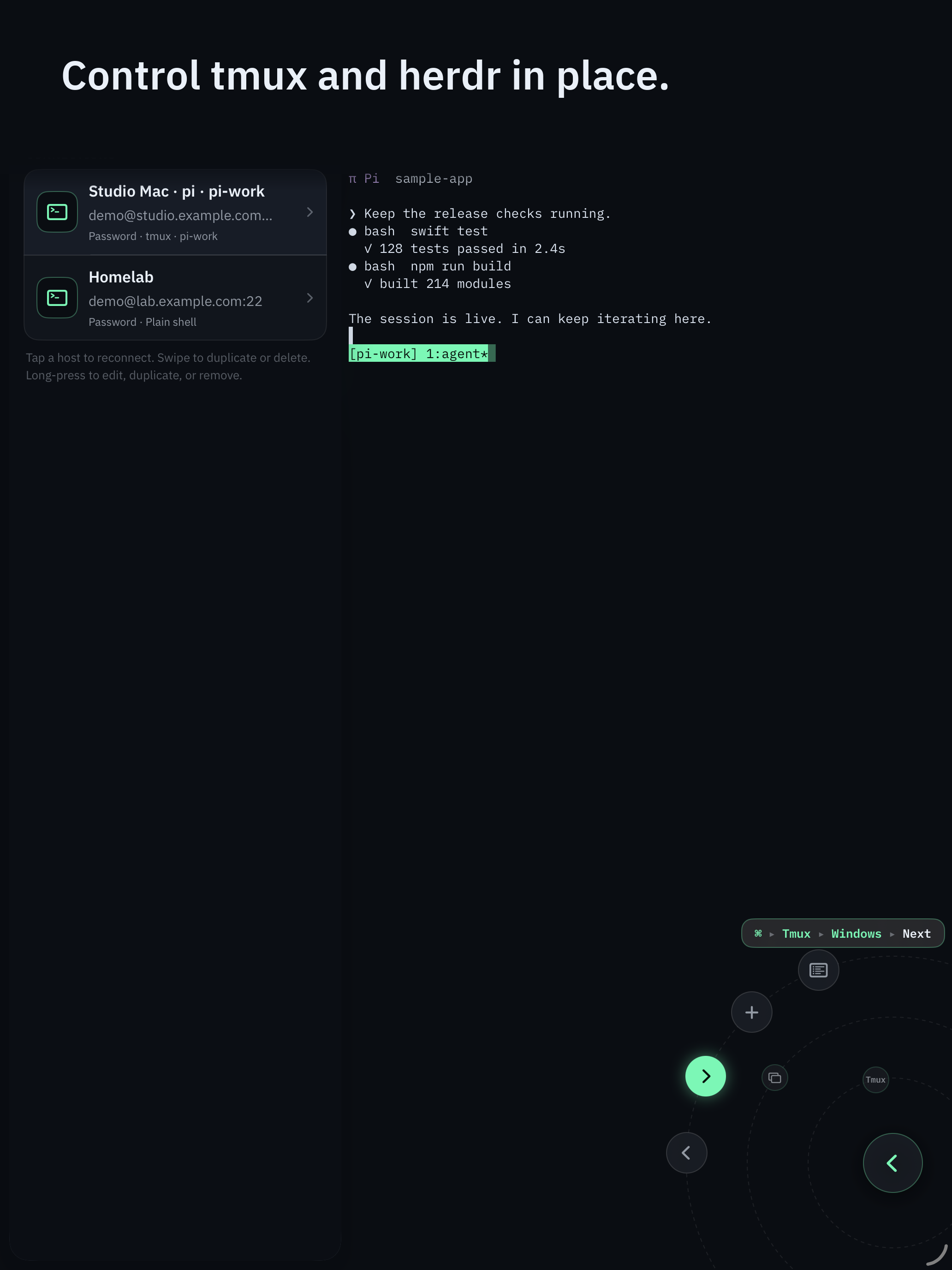SSHHIP on iPad with multiplexer controls suitable for herdr workflows